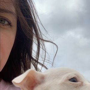 Meet your Posher, Amber